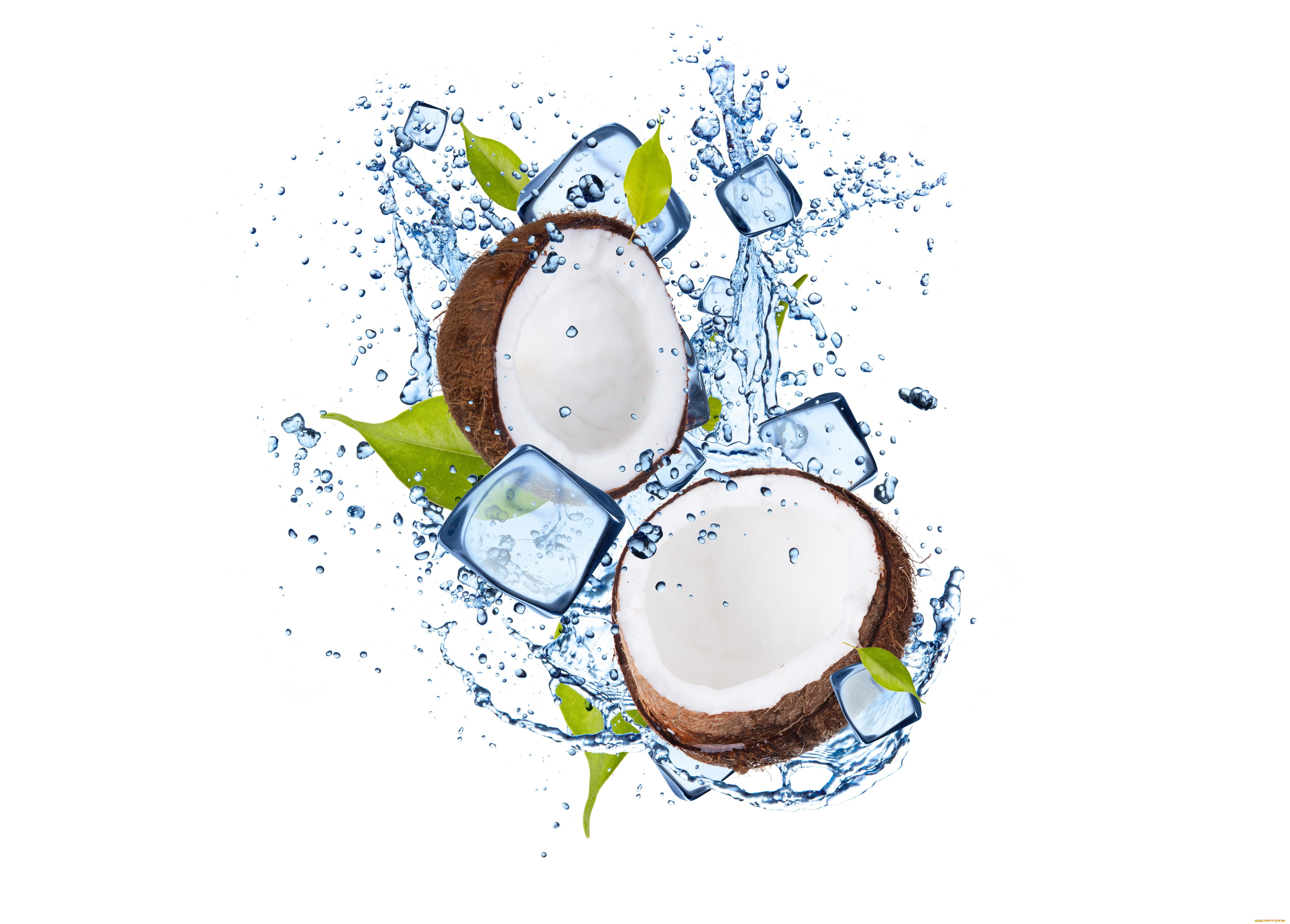 , , , , , water, ice, coconut, leaflets